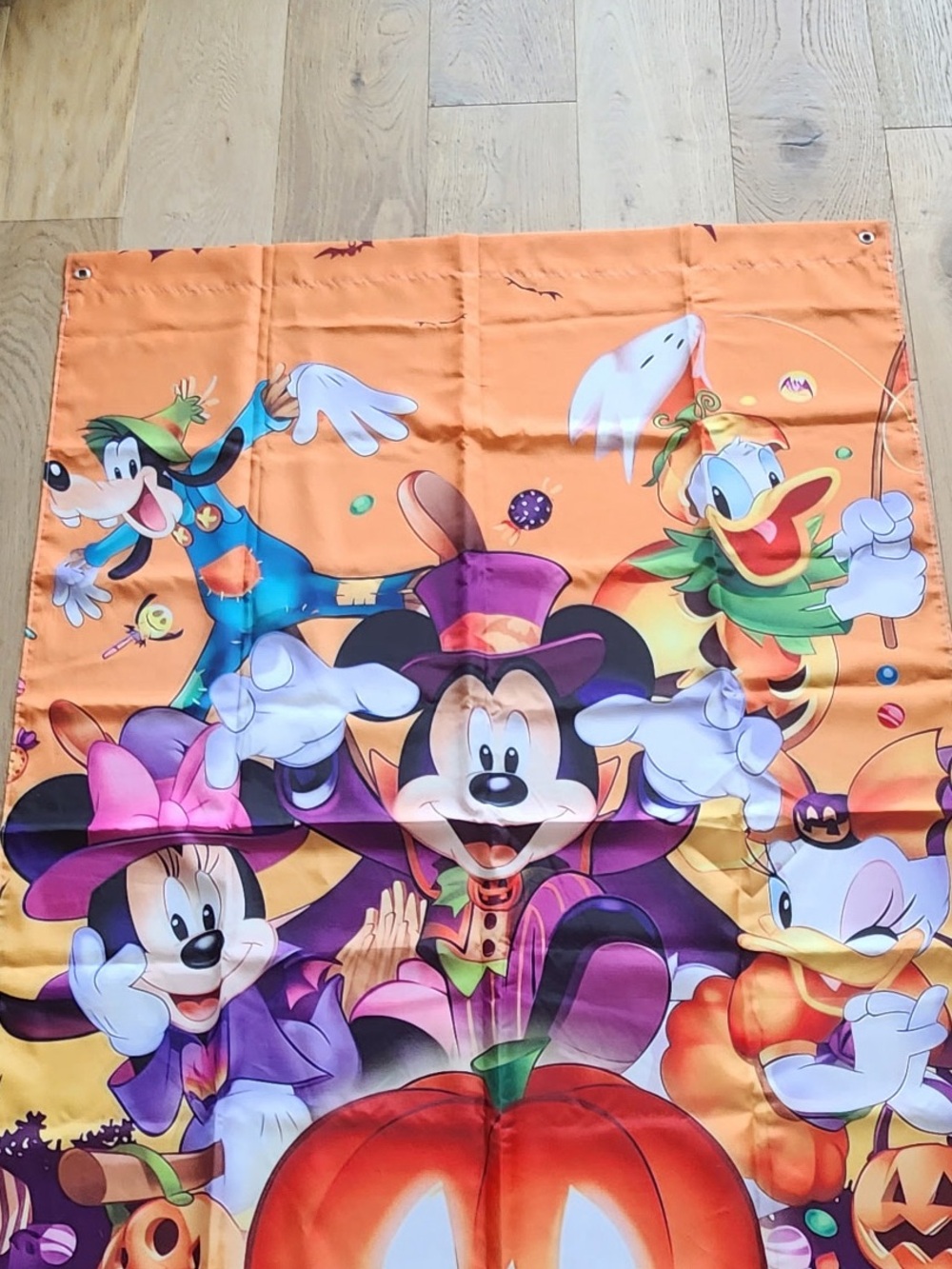 Disney Outdoor Halloween Flag - Picture 6 of 6